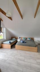 noclegi Karwieńskie Błoto Gwiazda Morska