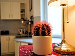 noclegi Sopot Sopot Comfy Apartment SA