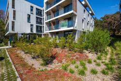 noclegi Jastarnia Apartament Leśny Ogród - kompleks Wydma & Las - 200 m do Morza, widok na sosnowy las, leśny ogród o pow 160 m2, bezpłatny parking, faktura VAT, ochrona, plac zabaw, boisko wielofunkcyjne