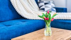 noclegi Kąty Rybackie SOLE MARE Apartamenty Piamola z basenem