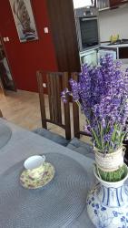 noclegi Łeba Apartament Żeglarz