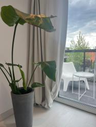 noclegi Łeba Pod Różą