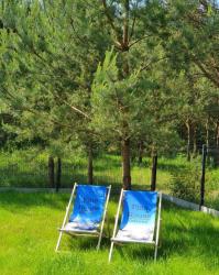 noclegi Ostrowo Pine House
