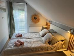 noclegi Ostrowo Pine House