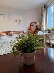 noclegi Kołobrzeg Apartament 305 metrów do morza