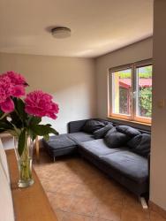 noclegi Poddąbie Domek w Poddąbiu blisko plaży i lasu