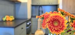 noclegi Sztutowo TriApart Apartamenty Perła Mierzei Sztutowo