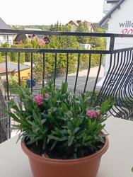 noclegi Karwia Apartament Nad morzem