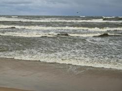 noclegi Krynica Morska Hotel White