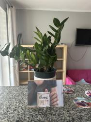 noclegi Gdańsk Przytulne mieszkanie cosy apartment