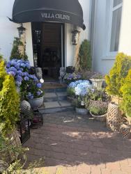 noclegi Mielno Villa Celine