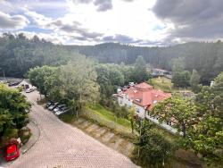 noclegi Sopot Apartament PrzyLesie Sopot centrum nad Zatoka