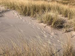 noclegi Ustka San Sebastian - domki nad morzem