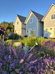 noclegi Jarosławiec Domki Podniebo