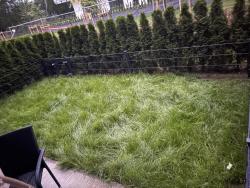 noclegi Niechorze REZYDENCJA NIECHORZE Apart 123 ogrodzony ogródek przy plaży