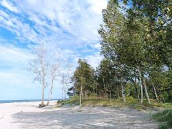 noclegi Gdańsk Batic Line - SUNNY PLACE - FUNNY PLACE, apartament ze słonecznym ogródkiem na Wyspie Sobieszewskiej