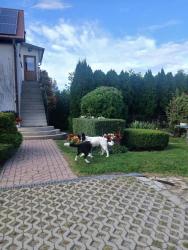 noclegi Pogorzelica Agroturystyka Spokojna domek 5 osobowy