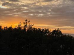 noclegi Pobierowo Pinea Apartments