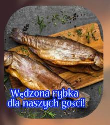 noclegi Dziwnówek Domy z Bala - Domki ogrzewane - JACUZZI, SAUNA, lody, popcorn, ryba wedzona i ognisko w cenie!
