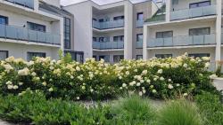 noclegi Grzybowo Apartament Piaskowy Sunset Resort