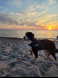 noclegi Dąbki Domki w Dąbkach