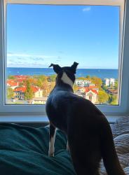 noclegi Sopot Pokoje przy plaży z widokiem na morze