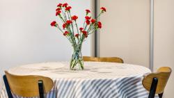 noclegi Stegna Stegna Park II Apartament z Rowerami - Rowery w pakiecie