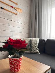 noclegi Słupsk Apartament w Słupsku centrum bezpłatny parking