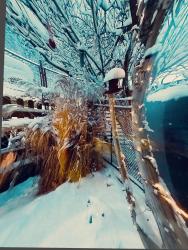 noclegi Gdynia Studio Orłowo