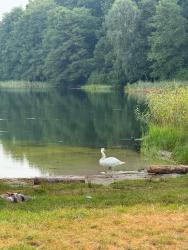 noclegi Wisełka Ferienhäuser Wiselka