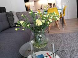noclegi Rewal Apartment near Baltic Sea with Balcony View