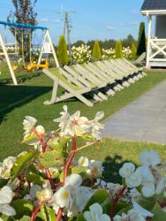 noclegi Sarbinowo Domki Nad Rozlewiskiem Sarbinowo Basen, Małpi Gaj w Świetlicy - Wszystko dla Dzieci, Rowery, Ognisko