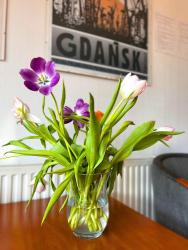 noclegi Gdańsk Akme APARTMENTS & ROOMS & FREE PARKING