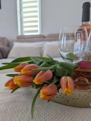 noclegi Międzyzdroje Flamingo 20