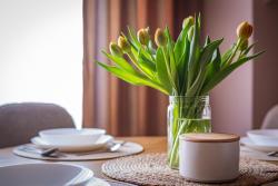 noclegi Sztutowo Apartament P27