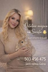 noclegi Jastrzębia Góra Eden Apartament-Jacuzzi, sauna