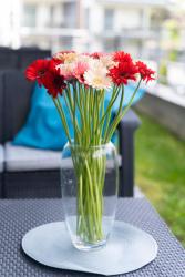 noclegi Pobierowo Apartament Doris 3 - apartament typu studio z tarasem