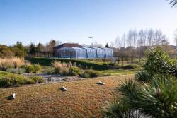 noclegi Sztutowo HoliApart in Trimare - Bilard, Sezonowy basen i sauny