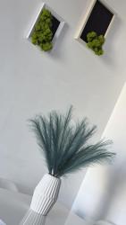 noclegi Międzyzdroje Green Apartment Promenada Gwiazd- widok na morze.