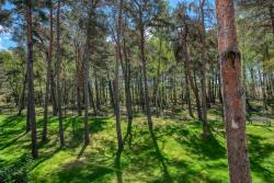 noclegi Łeba Nadmorska Florina Q4Apartments