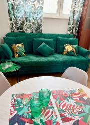 noclegi Gdynia Jungle Apartment - Gdynia Centrum
