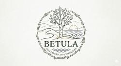 noclegi Mikoszewo Betula