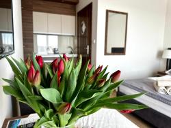 noclegi Jastrzębia Góra Jerry Apartment