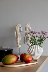 noclegi Rewal Konik Morski 11 - Easy - Rent Apartments