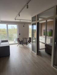 noclegi Rowy Apartament Sosnowy 45