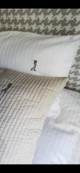 noclegi Wejherowo Golf Apartament 10