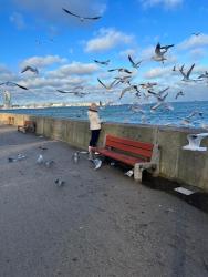 noclegi Gdynia mieszkanie