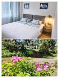 noclegi Jantar Osiedle Bursztynowe 25B - apartament Piamola w Jantarze blisko lasu