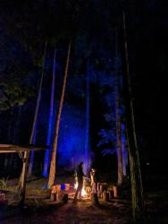 noclegi Mikoszewo Mikutiku leśne domki nad morzem