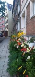 noclegi Gdańsk Studio Four Seasons with parking place